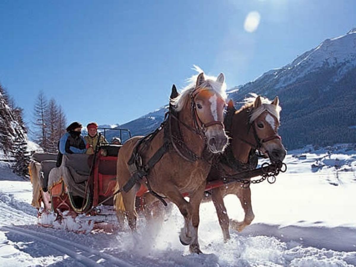 Pferdeschlittenfahrt im Winter im Brandnertal